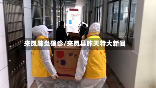 来凤肺炎确诊/来凤县昨天特大新闻
