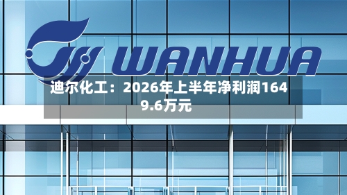 迪尔化工:2026年上半年净利润1649.6万元-第2张图片
