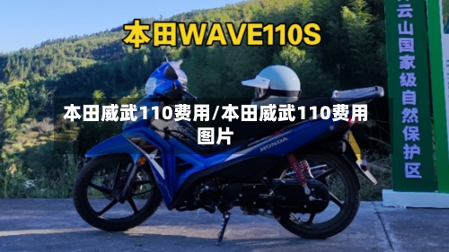 本田威武110费用/本田威武110费用图片-第3张图片