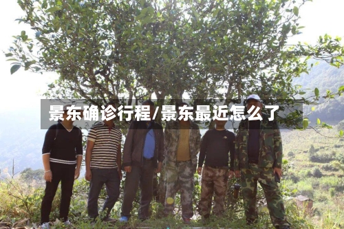 景东确诊行程/景东最近怎么了