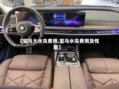 【宝马大水鸟费用,宝马水鸟费用及性能】-第2张图片