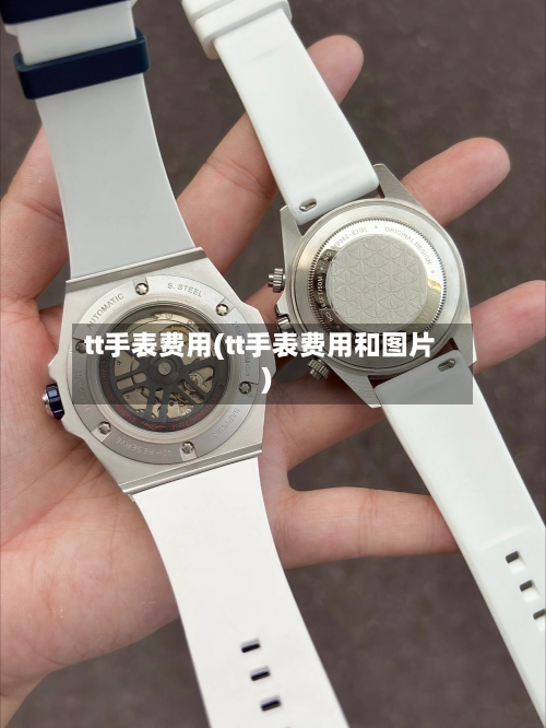tt手表费用(tt手表费用和图片)