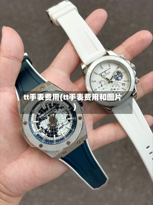 tt手表费用(tt手表费用和图片)-第3张图片