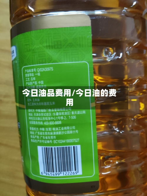 今日油品费用/今日油的费用