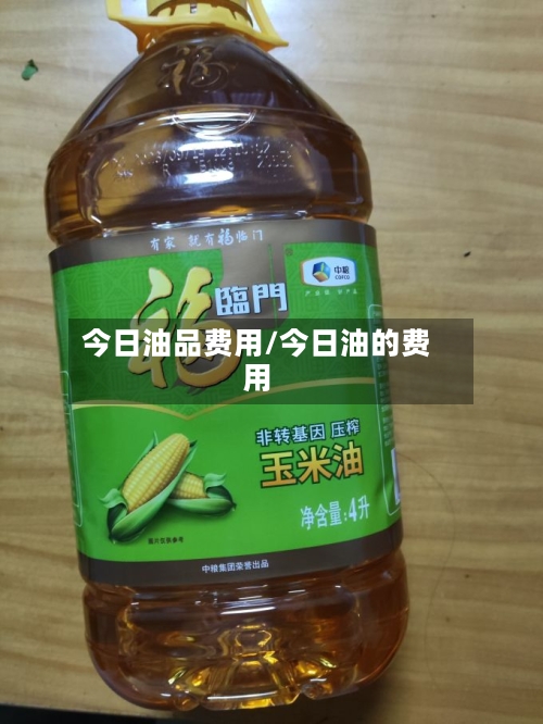今日油品费用/今日油的费用-第3张图片