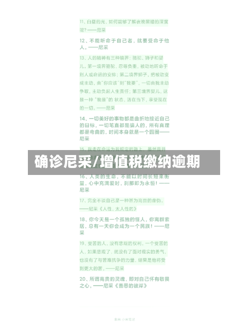 确诊尼采/增值税缴纳逾期