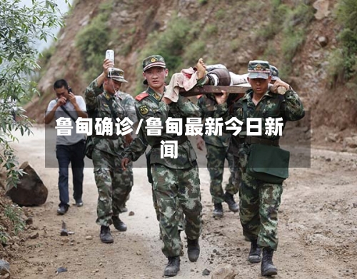 鲁甸确诊/鲁甸最新今日新闻