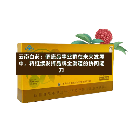 云南白药：健康品事业群在未来发展中，将继续发挥品牌全渠道的协同能力