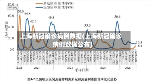 上海新冠确诊病例数据(上海新冠确诊病例数据公布)