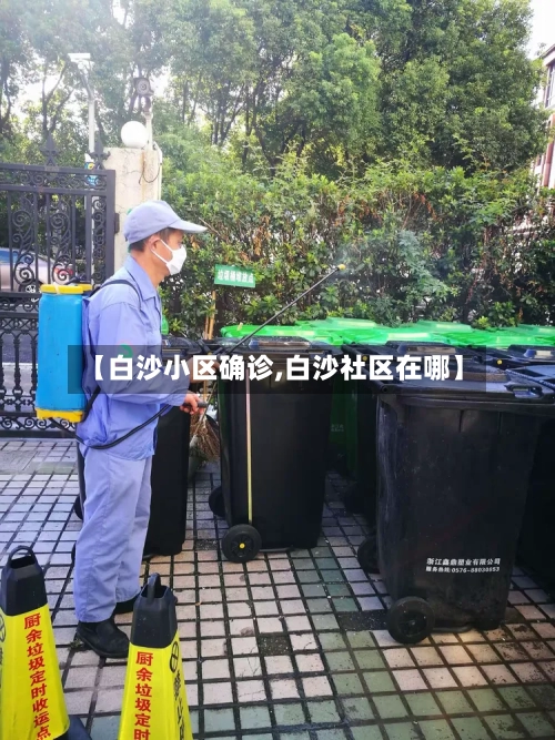 【白沙小区确诊,白沙社区在哪】-第2张图片
