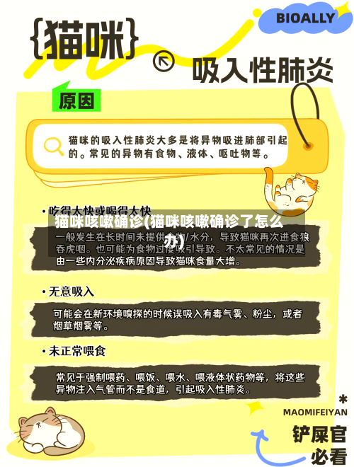 猫咪咳嗽确诊(猫咪咳嗽确诊了怎么办)