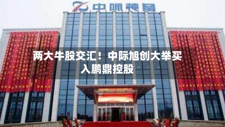 两大牛股交汇！中际旭创大举买入鹏鼎控股-第2张图片