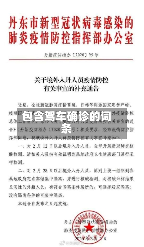 包含驾车确诊的词条
