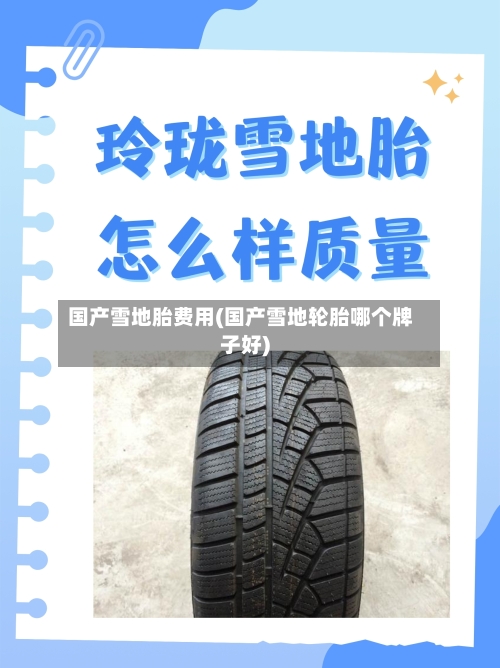 国产雪地胎费用(国产雪地轮胎哪个牌子好)-第2张图片