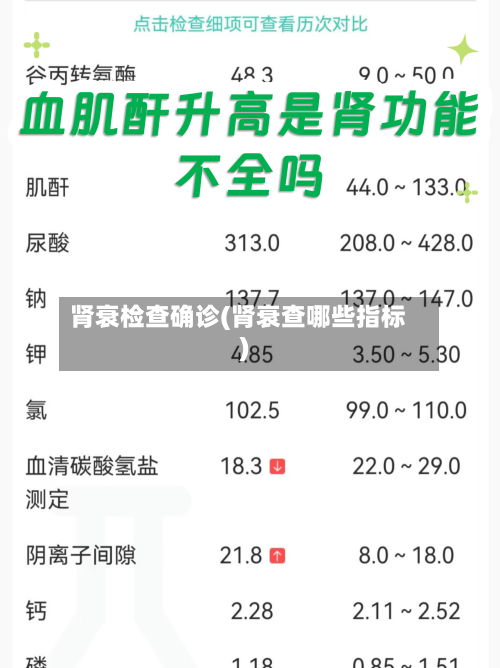 肾衰检查确诊(肾衰查哪些指标)