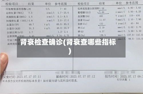 肾衰检查确诊(肾衰查哪些指标)-第3张图片