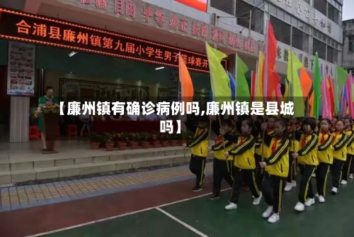 【廉州镇有确诊病例吗,廉州镇是县城吗】-第2张图片