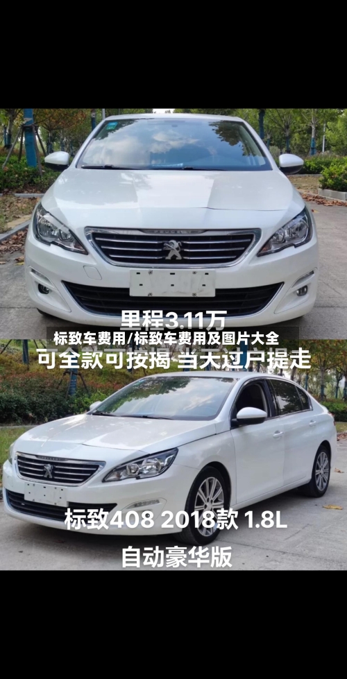 标致车费用/标致车费用及图片大全