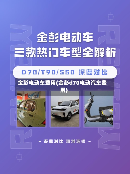金彭电动车费用(金彭d70电动汽车费用)