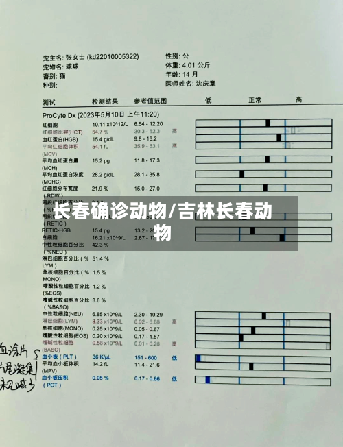 长春确诊动物/吉林长春动物