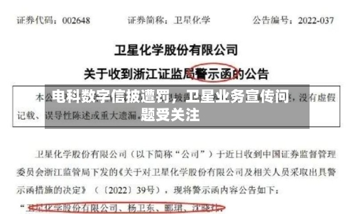 电科数字信披遭罚，卫星业务宣传问题受关注-第2张图片
