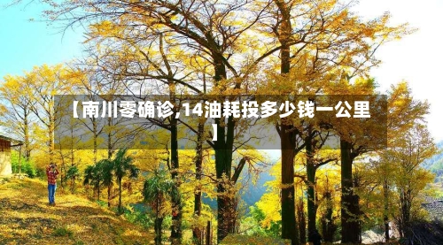 【南川零确诊,14油耗投多少钱一公里】-第2张图片