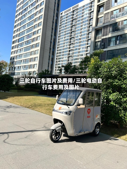 三轮自行车图片及费用/三轮电动自行车费用及图片-第3张图片