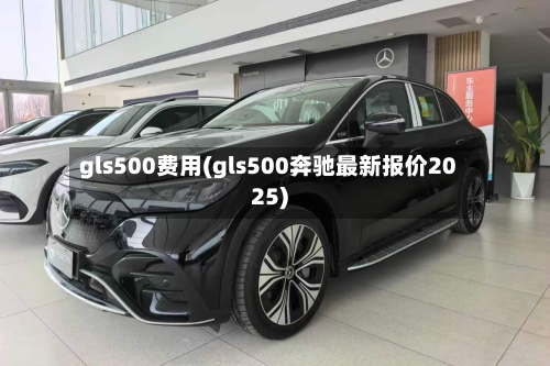 gls500费用(gls500奔驰最新报价2025)