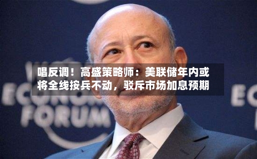 唱反调！高盛策略师：美联储年内或将全线按兵不动，驳斥市场加息预期-第2张图片