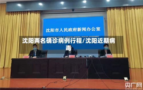 沈阳两名确诊病例行程/沈阳近期病毒-第3张图片