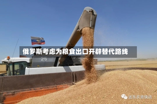 俄罗斯考虑为粮食出口开辟替代路线