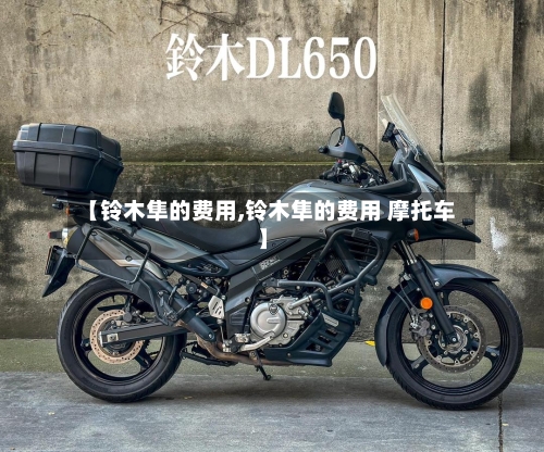 【铃木隼的费用,铃木隼的费用 摩托车】