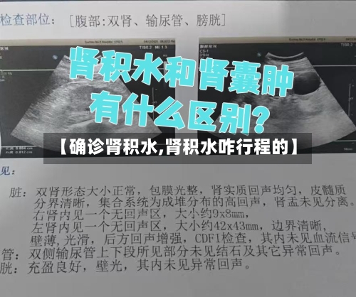 【确诊肾积水,肾积水咋行程的】