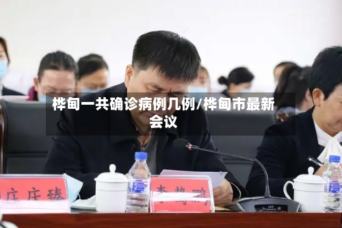 桦甸一共确诊病例几例/桦甸市最新会议