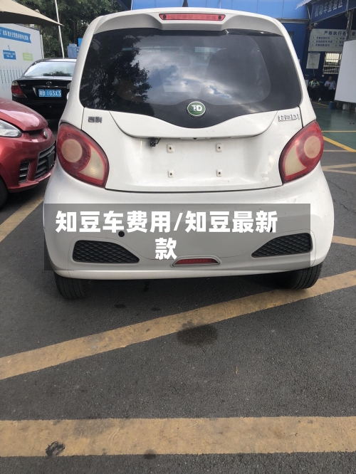 知豆车费用/知豆最新款