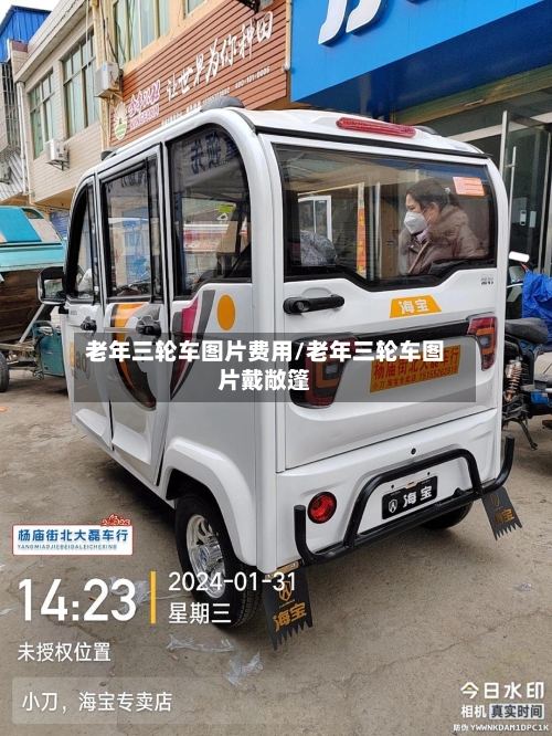 老年三轮车图片费用/老年三轮车图片戴敞篷
