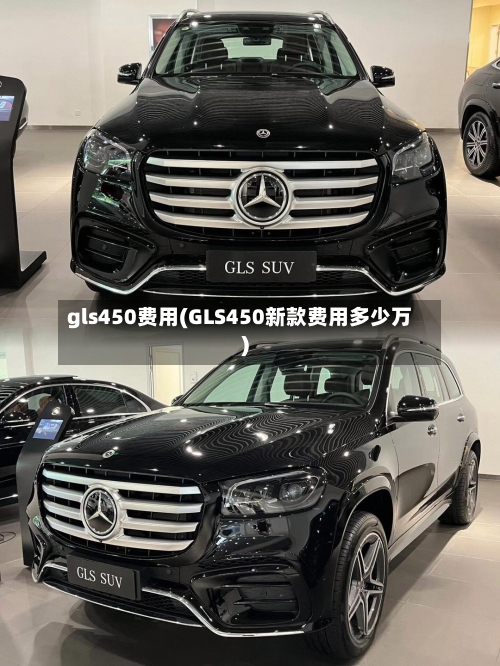 gls450费用(GLS450新款费用多少万)
