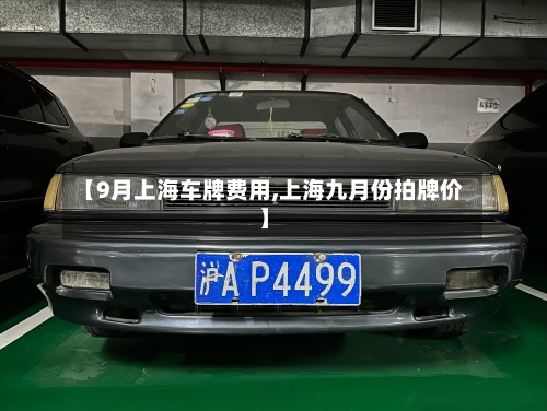 【9月上海车牌费用,上海九月份拍牌价】-第3张图片
