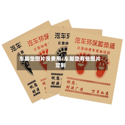 车脚垫图片及费用/车脚垫有些图片 定制-第2张图片