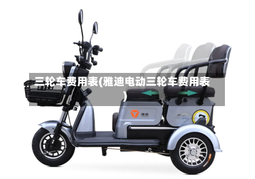 三轮车费用表(雅迪电动三轮车费用表)-第2张图片