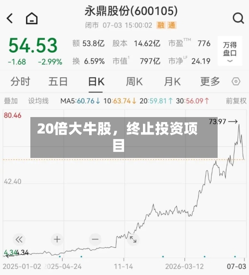 20倍大牛股，终止投资项目-第1张图片