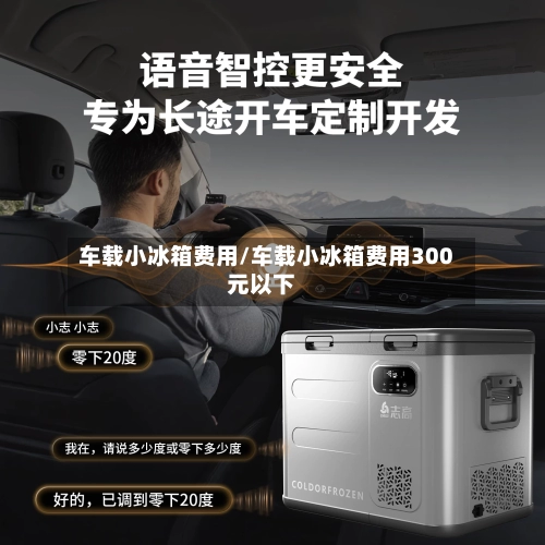 车载小冰箱费用/车载小冰箱费用300元以下