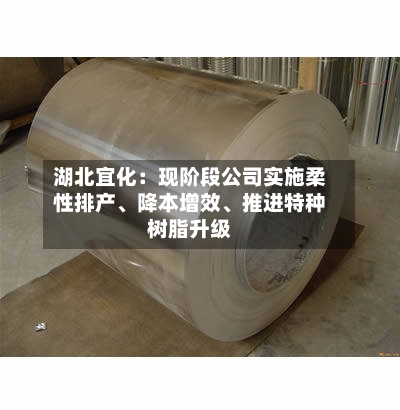 湖北宜化：现阶段公司实施柔性排产、降本增效、推进特种树脂升级-第1张图片