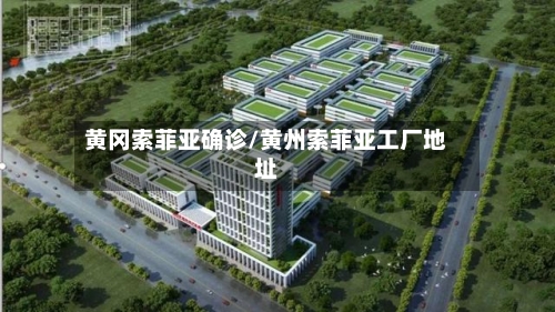 黄冈索菲亚确诊/黄州索菲亚工厂地址-第2张图片