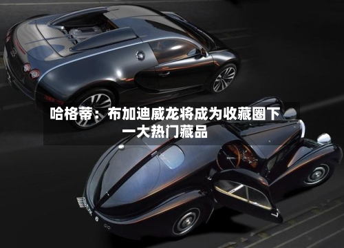 哈格蒂:布加迪威龙将成为收藏圈下一大热门藏品-第3张图片