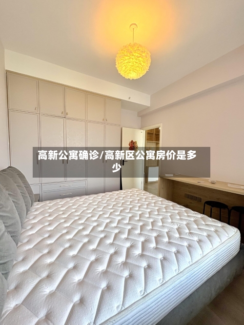 高新公寓确诊/高新区公寓房价是多少