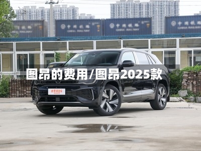 图昂的费用/图昂2025款-第2张图片