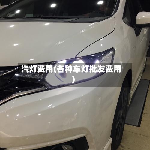 汽灯费用(各种车灯批发费用)