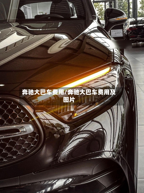 奔驰大巴车费用/奔驰大巴车费用及图片-第2张图片