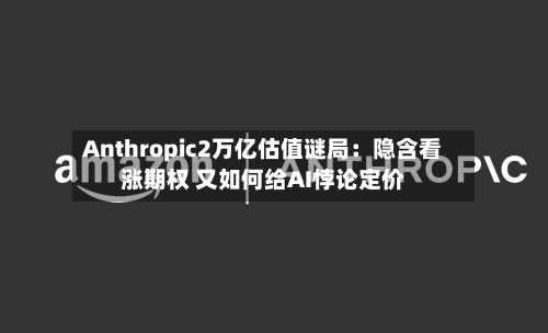 Anthropic2万亿估值谜局:隐含看涨期权 又如何给AI悖论定价-第2张图片